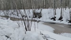 Счастье, бедное.../авторская песня/