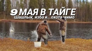 Как мы встретили 9 Мая в избе: Шашлык, Тайга и попытка охоты