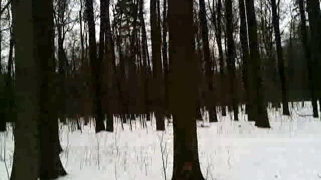 028 2016.02.11_11.51.10