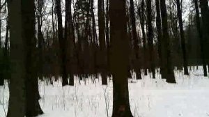 028 2016.02.11_11.51.10