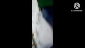 мой зимний дворец в деревне и сиреноголовый