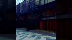 Видео_от_Бмвшки_Дельфин_15