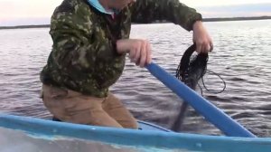 Рыбалка На Белом Море Без Затрат!Только Руки и Ноги!