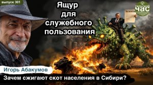 Ящур для служебного пользования. Сельский час #301 (Игорь Абакумов)