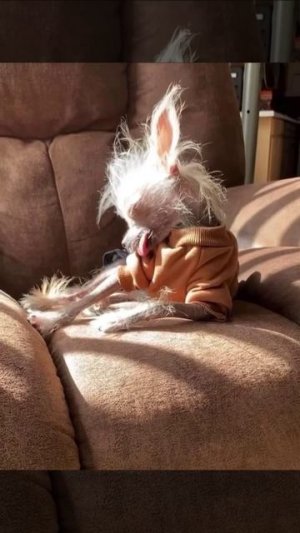 Доброе утро, друзья