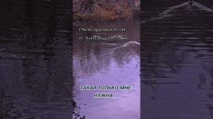 ТАКАЯ ТОЛЬКО МНЕ НУЖНА...