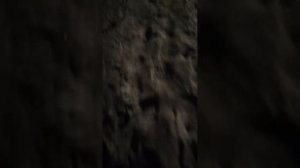 прогуливаемся