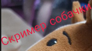 Скример собачки😱😱😱😱😱😱😱😱😱😱😱😱😱😱😱