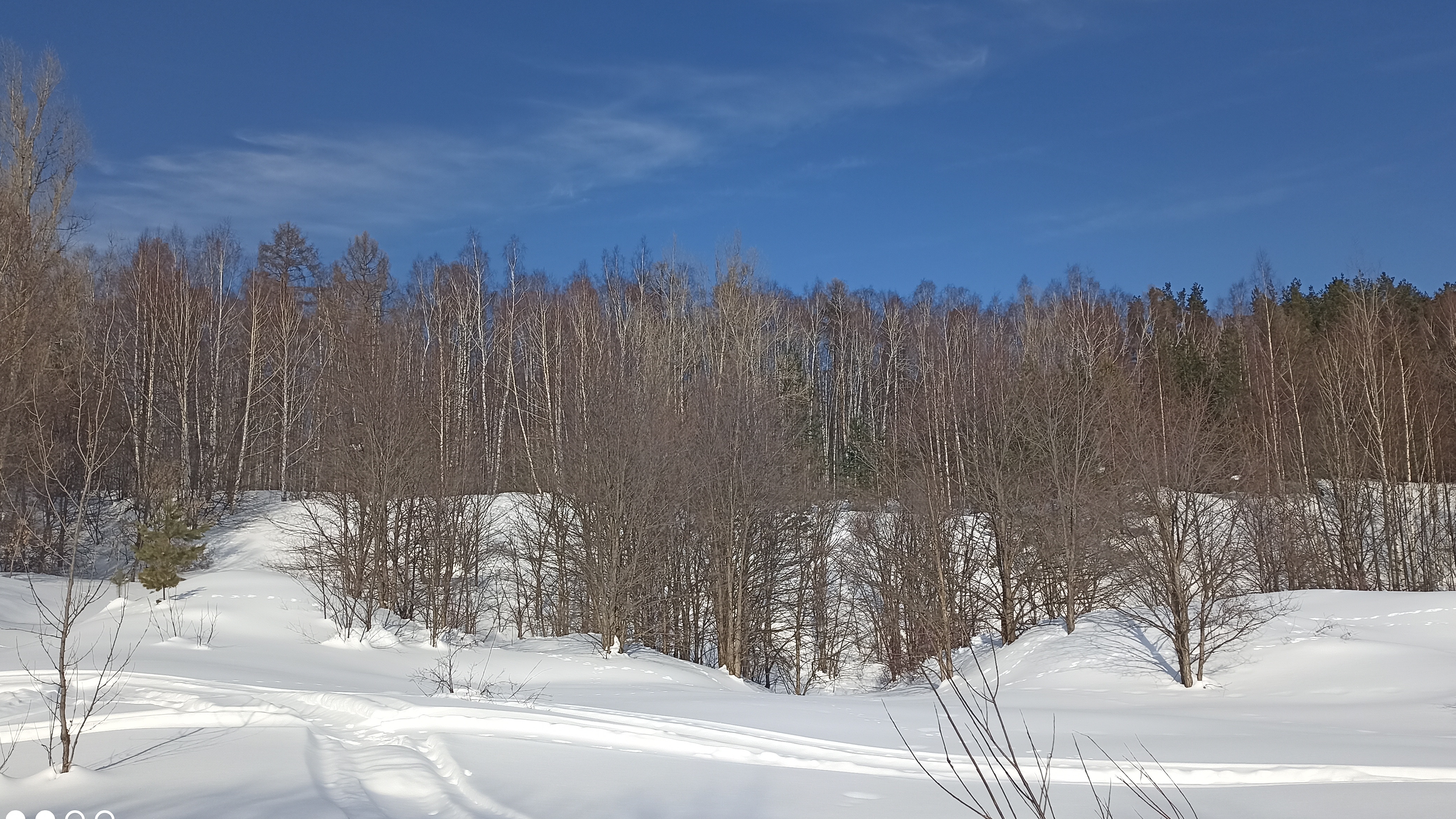 Заячьи тропы на берегу реки Вятки в начале марта.