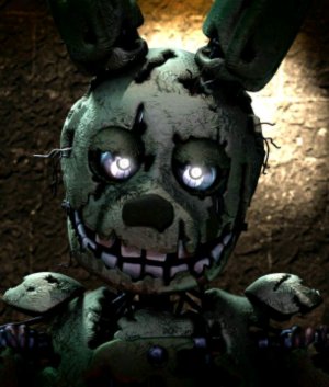 отвечаю на вопросы