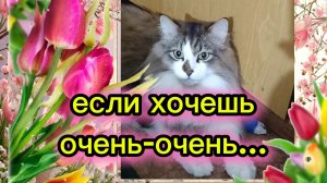 С 8 Марта 💐 шутка про 8 марта.