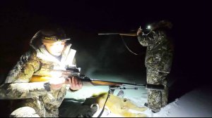 ЭТИХ ЗВЕРЕЙ СТАЛО ЗДЕСЬ СЛИШКОМ МНОГО / ОХОТА НА БЕШЕНЫХ ТВАРЕЙ.