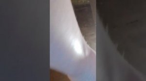 заметь пожалуйста ДБ!