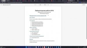 скринкаст защита презентации 4