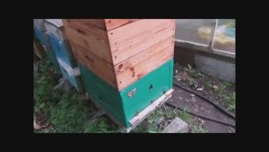 ответы на вопросы - выбор улья на пасеке , разные системы ульев ( видео из архива )