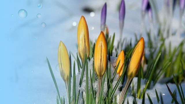 Футаж. Весеннее настроение 2