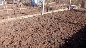 Дачная жизнь. Обзор огорода в марте.