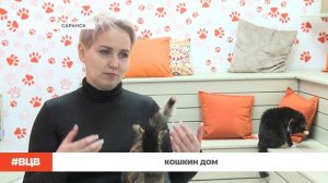 Кошкин дом / В центре внимания - 22 (06.03.2026)