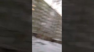 Игра года🤣🤣🤣