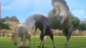 Долговая яма Леди Дисконт