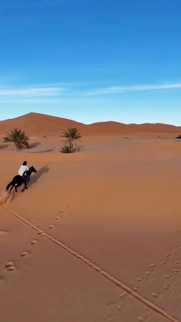 Мерзуга — это небольшая деревня на юго-востоке Марокко, известная как «ворота» в Эрг-Шебби