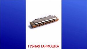 17 Губная гармошка