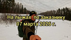 На лыжах по заказнику 07 марта 2026г
