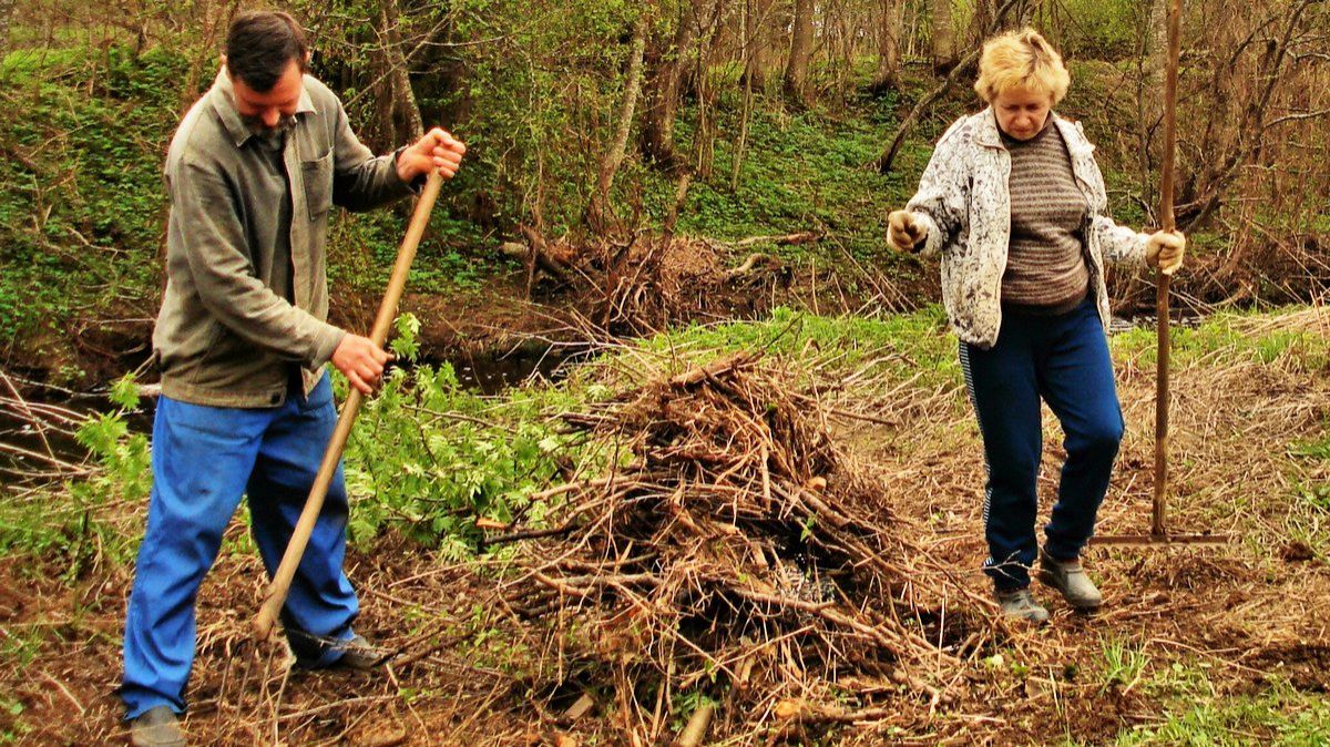 Из архива. Немного летнего в 2010 году.
