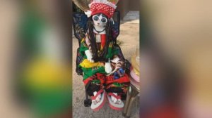 Котосмешилки!😸 Подборка лучших приколов!😻