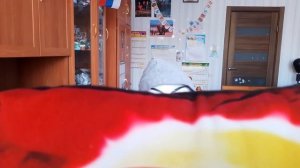 конец анонимусами