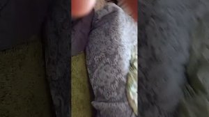 мы знакомимся с новым подписчикам