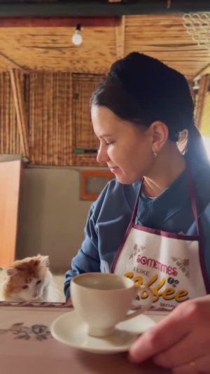 Возвращение. Первые дни в Абхазии: быт, прогулки и день рождения.