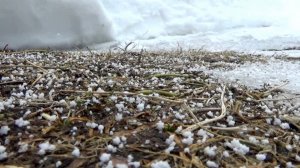 Снежная крупа при прохождении ныряющего циклона над городом Вязники. Съемка 07.03.2026