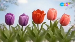 Карусель, весенняя заставка (07.03.2026) | 3