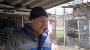 Как все успеть.? Наши будни Жизнь на Кубани