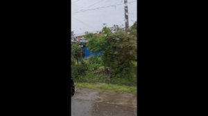 Май 2025 часть 4