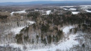 Природа Дальнего Востока с высоты птичьего полета