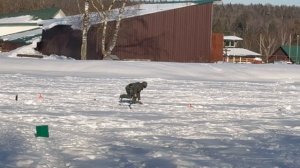 Очередная поимка форели