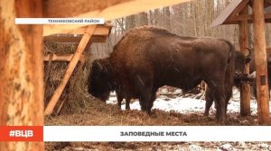 Заповедные места / В центре внимания - 22 (06.03.2026)