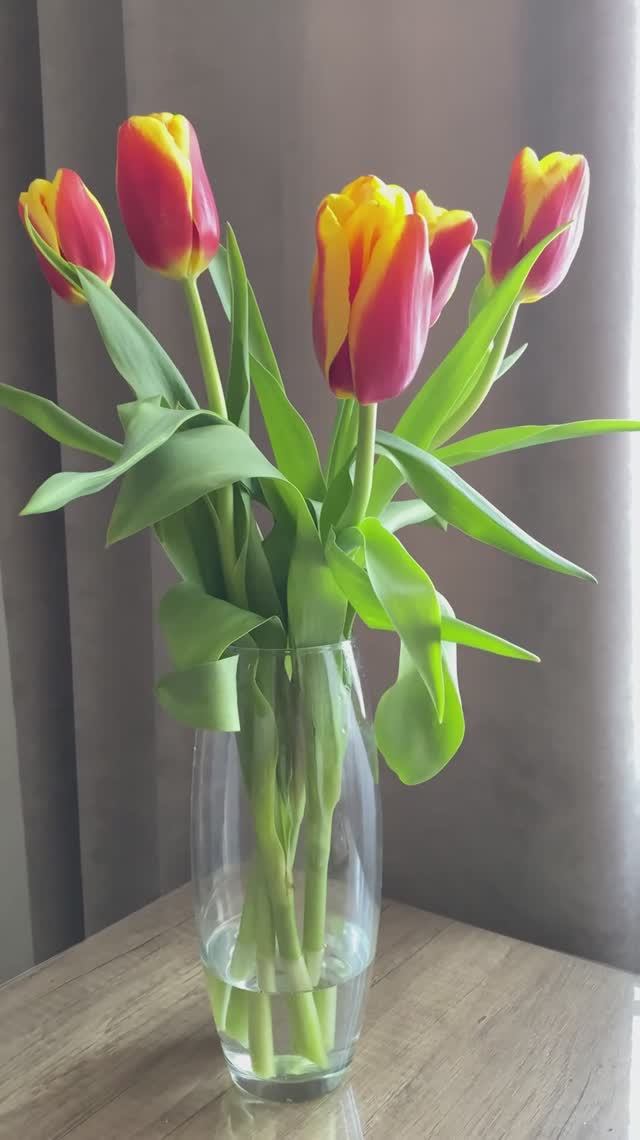 Чувствуете? Весной пахнет!#8марта