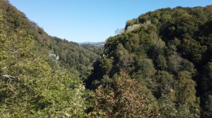 В Тисо-самшитовую рощу через каньон Чертовы ворота.