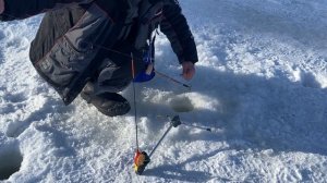 Сработка на подсекайку