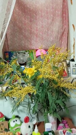 тоже цветочки пасматри с праздником (8) марта 👍👍👍👍👍👍👍👍👍
