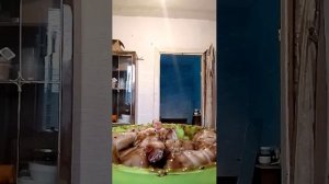 Ножки в соусе Терияки