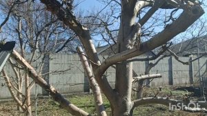 Горящей избы нам не надо,но коня останови🐴м.