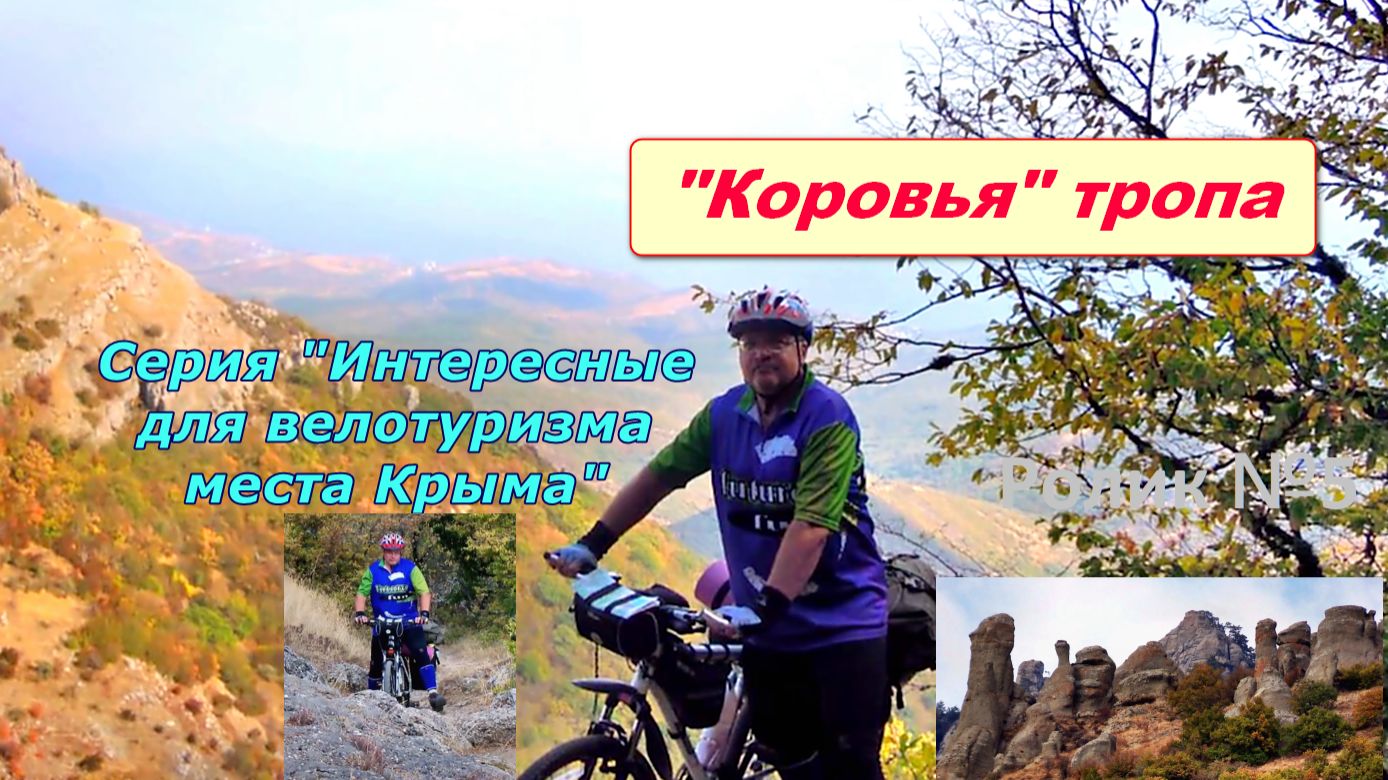 №524. "Коровья тропа" на велосипеде