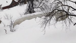 Приехали скинуть снег с крыши