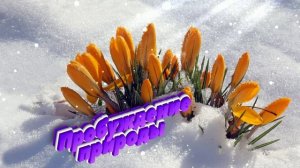 Футаж. Пробуждение природы 2