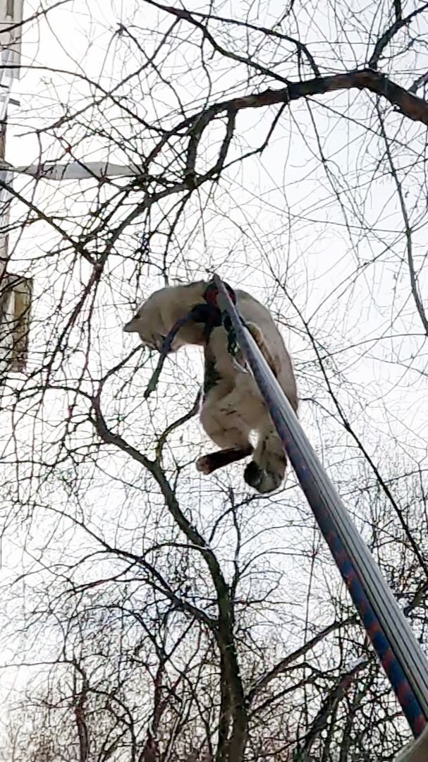 Двух подряд одинаково