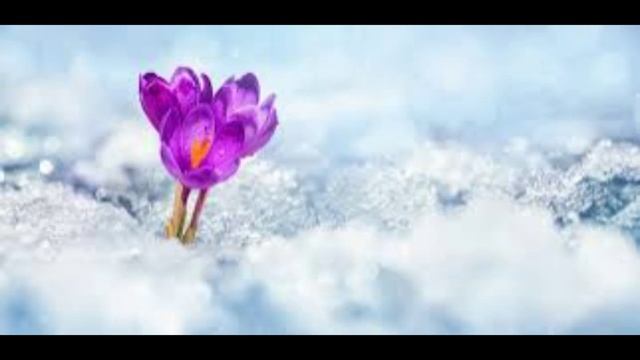 8 марта - Поликарпов день. Традиции и приметы